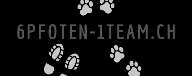 Hundeschule 6pfoten-1team.ch